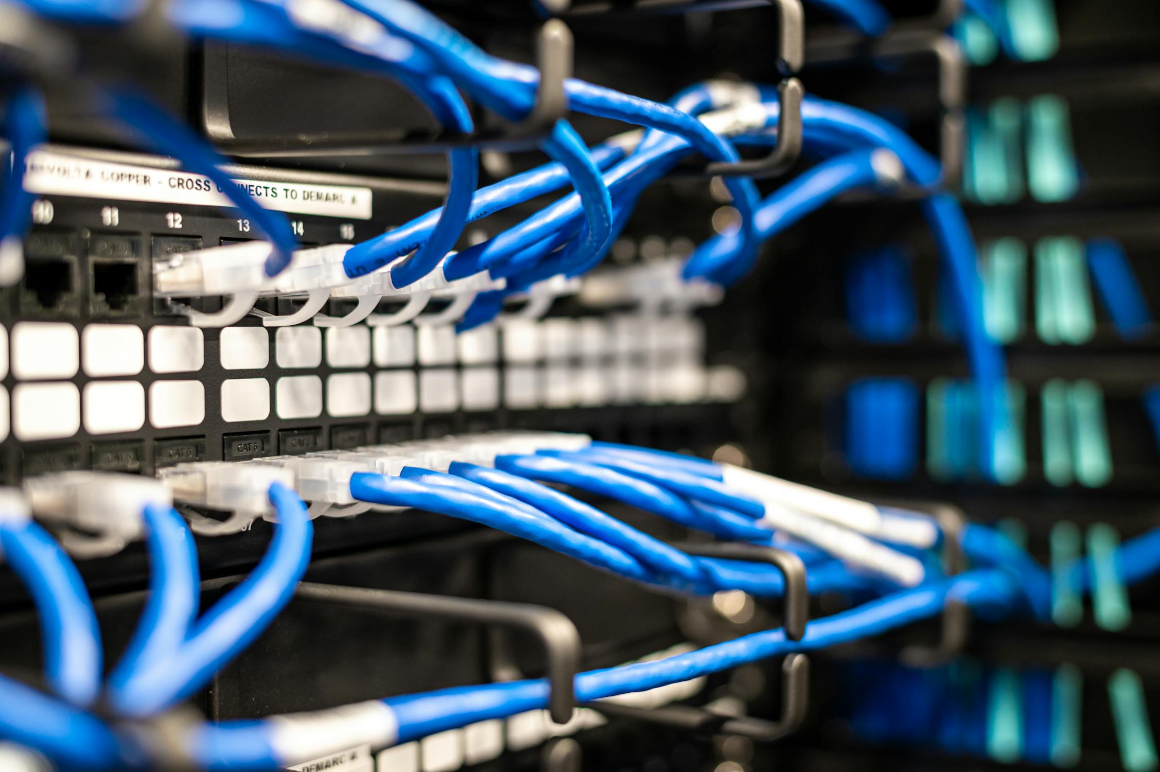 Panel de conexiones con cables de red para cableado estructurado